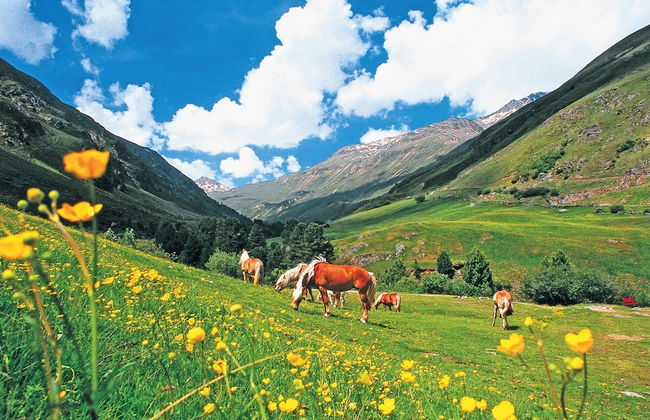 Pleasant Apartment in Langenfeld With Sauna - Foto 22