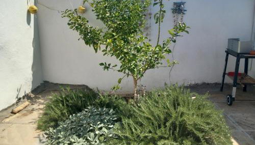 Sand Story Holiday Home - Foto 3, Garden