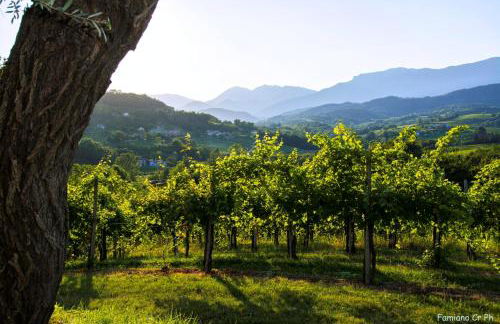 Agriturismo Le Spezie - Foto 86