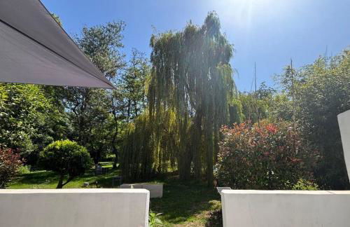 Gîtes Terra di a Bravona - Foto 65