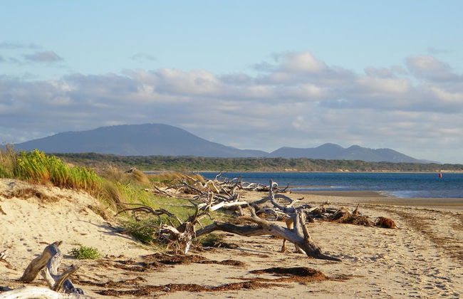 Promhills Cabins - Foto 39