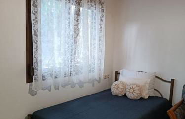 Mary's Traditional home - Photo 29