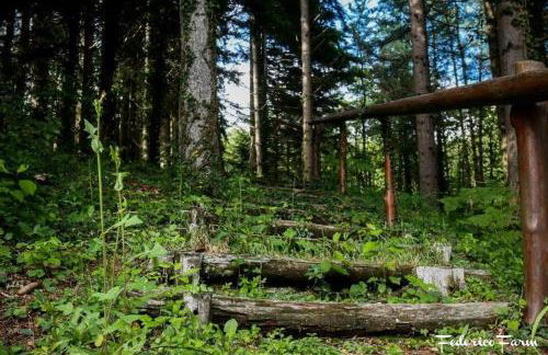 La Casa del Sarto - FedericoFarm - Foto 48