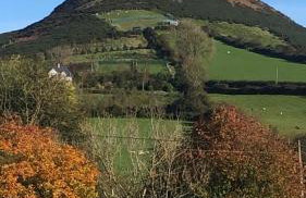 Terry Joe Cottages - Foto 26