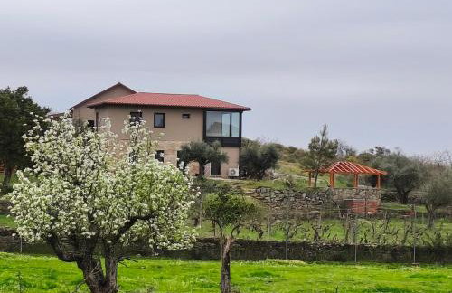 Tapada das Carvalhas - Foto 23