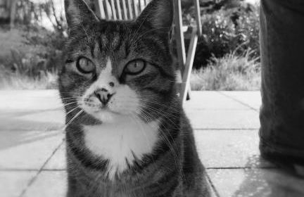 Ferienwohnung Salem-Beuren - Foto 15