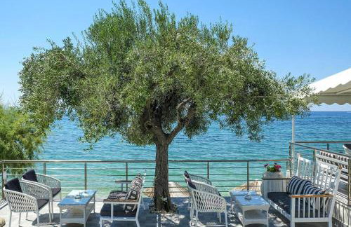 Apartment in Elia Beach with a shared pool - Photo 26