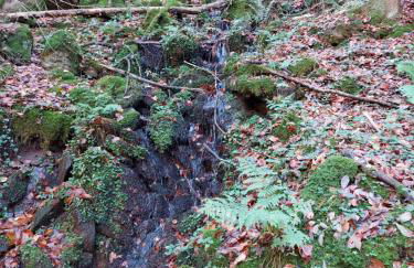 Urlaub an der Grenze - Foto 40