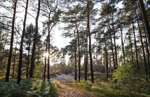 Ferienzentrum Trassenmoor - Foto 57