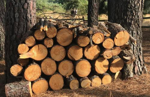 Casa Rural Los Robles - Foto 18