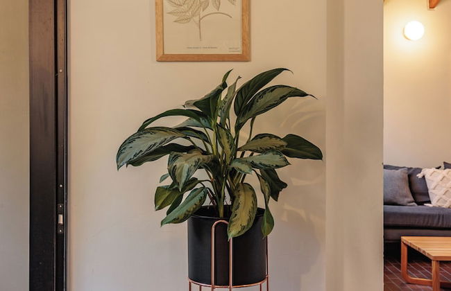 The Somos Flats Laureles - Foto 40