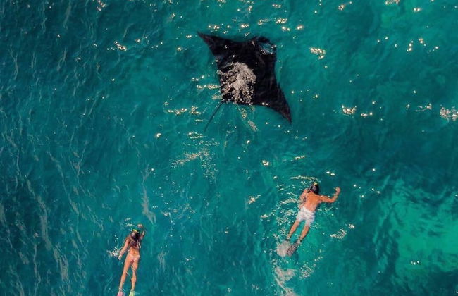 Samara I Liveaboard - Photo 12