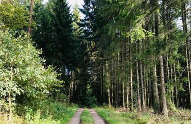 Srokowski Dwór 1 - Leśny Zakątek - Prywatna Sauna! - Foto 23