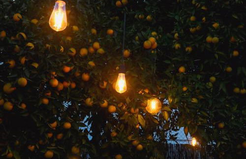 Apartamentos El Pozo1 - Photo 19