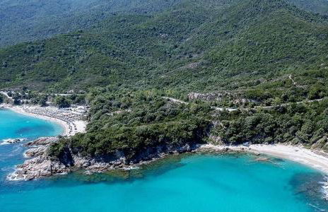 Aristotelia Gi - Panorama - Photo 22