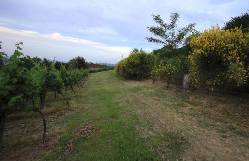 Agriturismo Gaggioli Borgo Delle Vigne - Foto 67