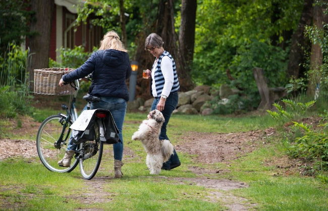 Comfortable Chalet Near National Park - Photo 37