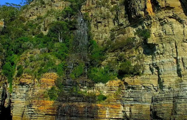 Excursion d'une journée à l'île Tasman avec billets en option - Au départ de Hobart - Photo 5