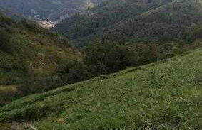 Asturias Boho Chic - Foto 29