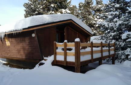 Chalet l'Epicéa T3 en forêt avec Terrasse & Jardin à 5 min à pied des pistes P2 et commerces - Foto 3