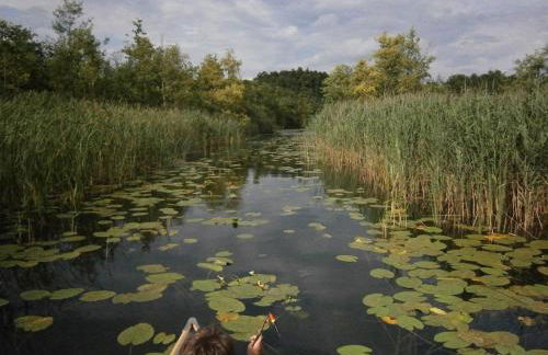 Helle Loft mit eingenem Garten - Photo 22