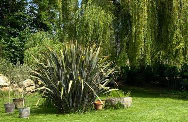 LE CLOS DAUPHINAIS Chez Laurette - Foto 14