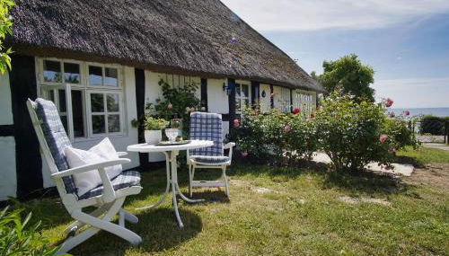 strandnahe Idylle am Meer, private Badestelle mit Strandkorb - Gutshof Ostseeblick FeWo Nr 04 - Foto 4