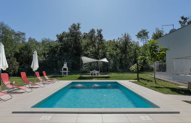 Forest Fairy - Foto 29