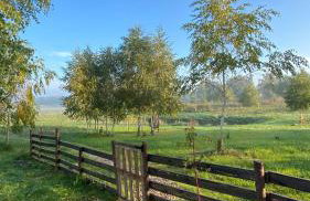 Brzozowisko Zalewo - Foto 18