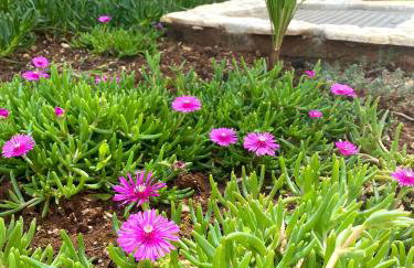 Room TARA Malinska - Foto 19