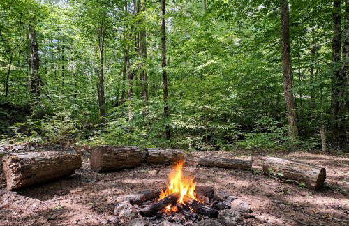 Romantic Cabin, Hot Tub, Lake Access, OutdoorLiving! - Foto 44