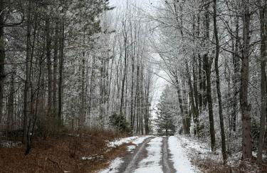 Maison Flambeau - Foto 48