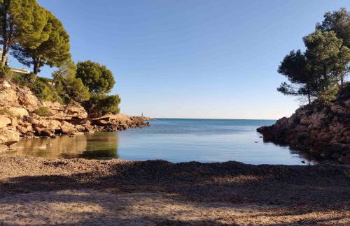 Perla de Mar - Foto 44