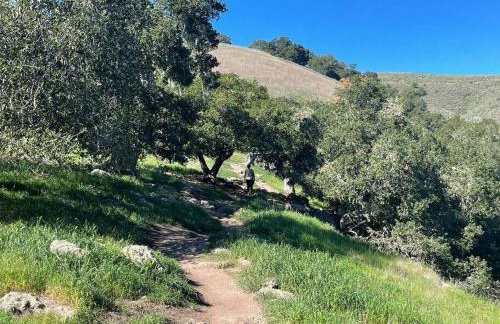 Hillside view with hot tub! - Foto 7