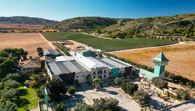 VIP Wine Experience | Costa Blanca’s Hidden Estates - Foto 3