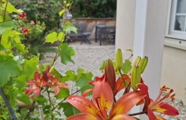 Le boisnheur - Foto 10