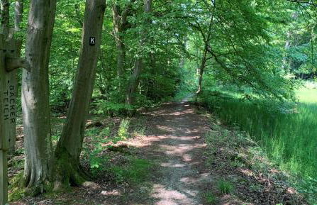 Ferienwohnung Amselnest - Foto 14