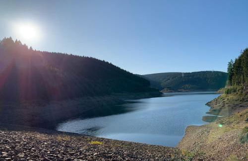 Rennsteig-Pension Trautwein - Foto 49