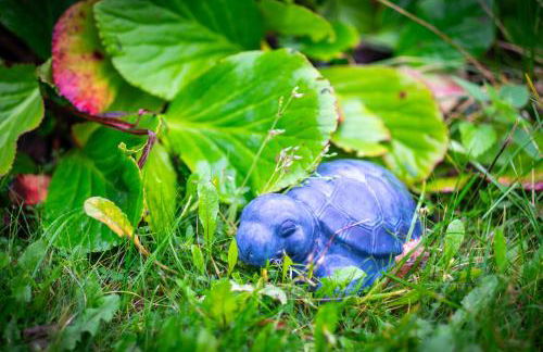 Ferienwohnung am Kunterbunthof - Foto 43