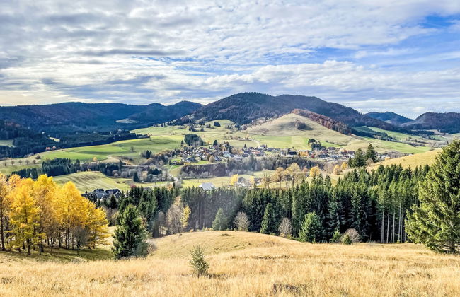 Schwarzwaldblick II - Foto 50