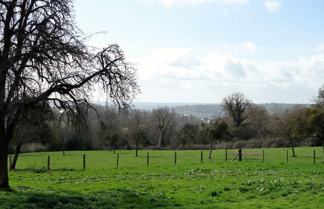 Les écuries de Callenville - Foto 30