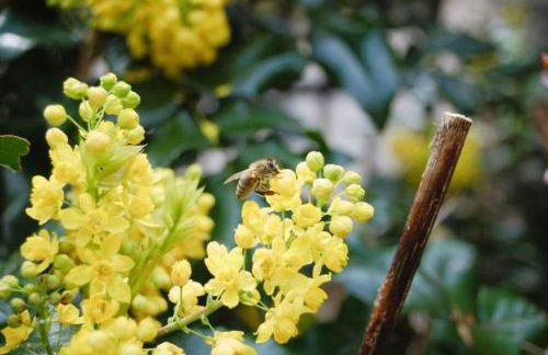 M&E Cztery pory roku Szklarka 25A - Foto 16