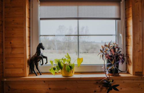 Dom Gościnny Sowia Stópka - Foto 19