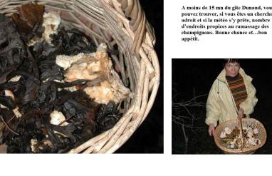 Gite rural DUNAND - Foto 30