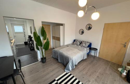 Kleines Zebra - Foto 7