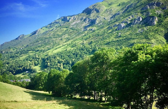 Gite Belle Vie - Foto 22