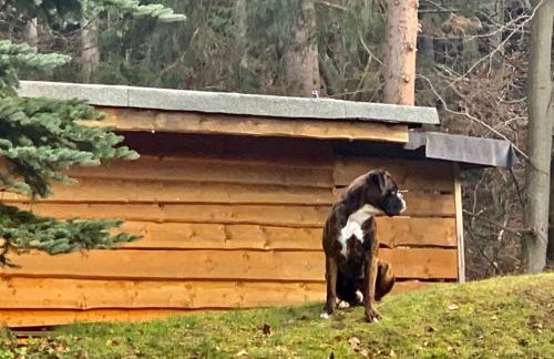 Holiday Home Jägerhaus by Interhome - Foto 46