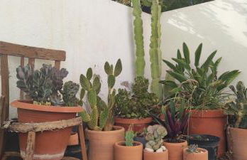 PiedraNegra, apartamento completo con patio, terraza y BBQ - Foto 15