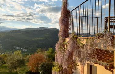 Agriturismo La Fontaccia - Foto 2