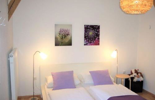 Ferienwohnungen Schönbachtal - Foto 27